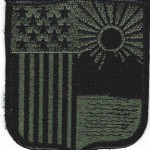 New York Guard Patch (BDU) Old Version (No Velcro)