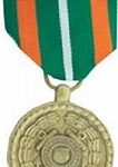 Coast Guard Achievement Medal (Large)