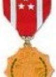 Philippines Defense Medal (Large)