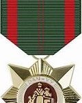 Republic of Vietnam Civil Actions Honor Medal (1st Class) (Large)